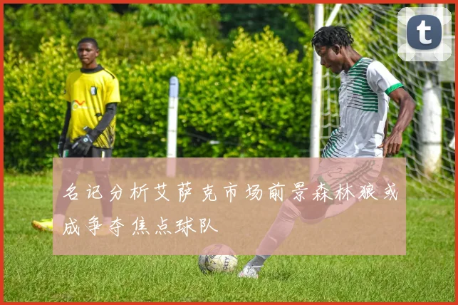 名记分析艾萨克市场前景森林狼或成争夺焦点球队